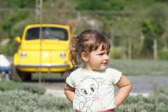 1_DSC06618