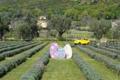 DSC05506